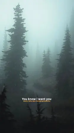 Lyrics Song