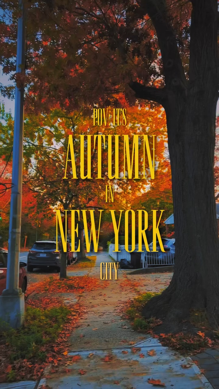 Autumn vibe