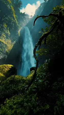 Nature • Cinematic