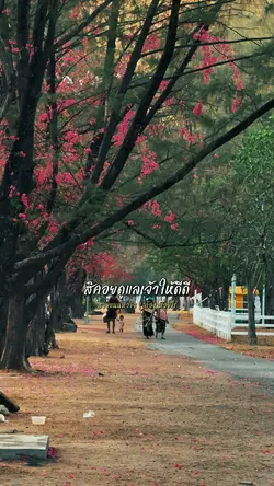 สายแนนหัวใจ