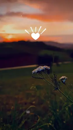 💞