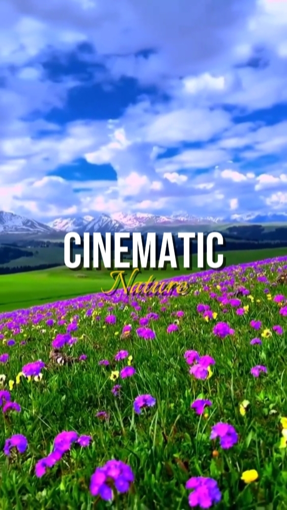 CINEMATIC