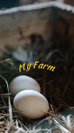 My Farm 