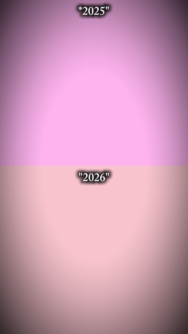 2025 2026