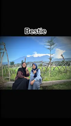 teman setia