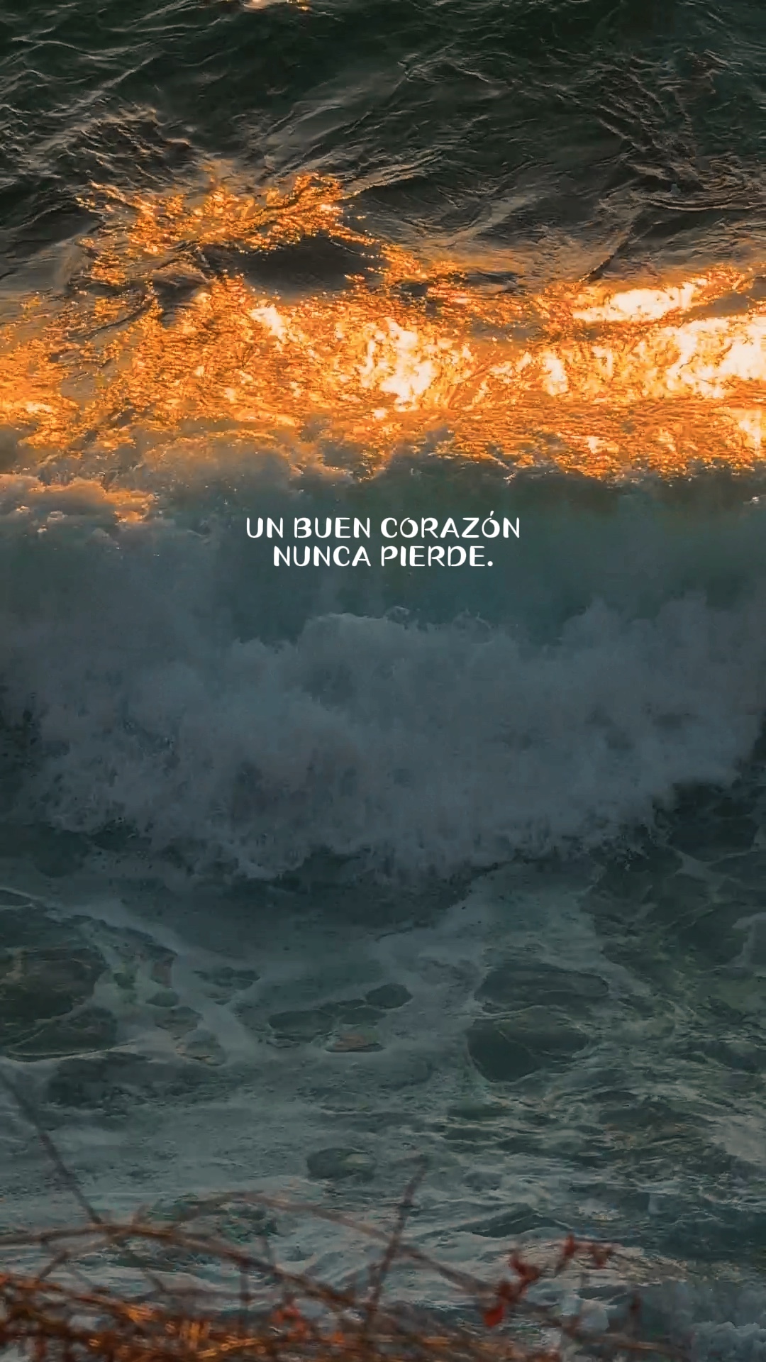 Frases 