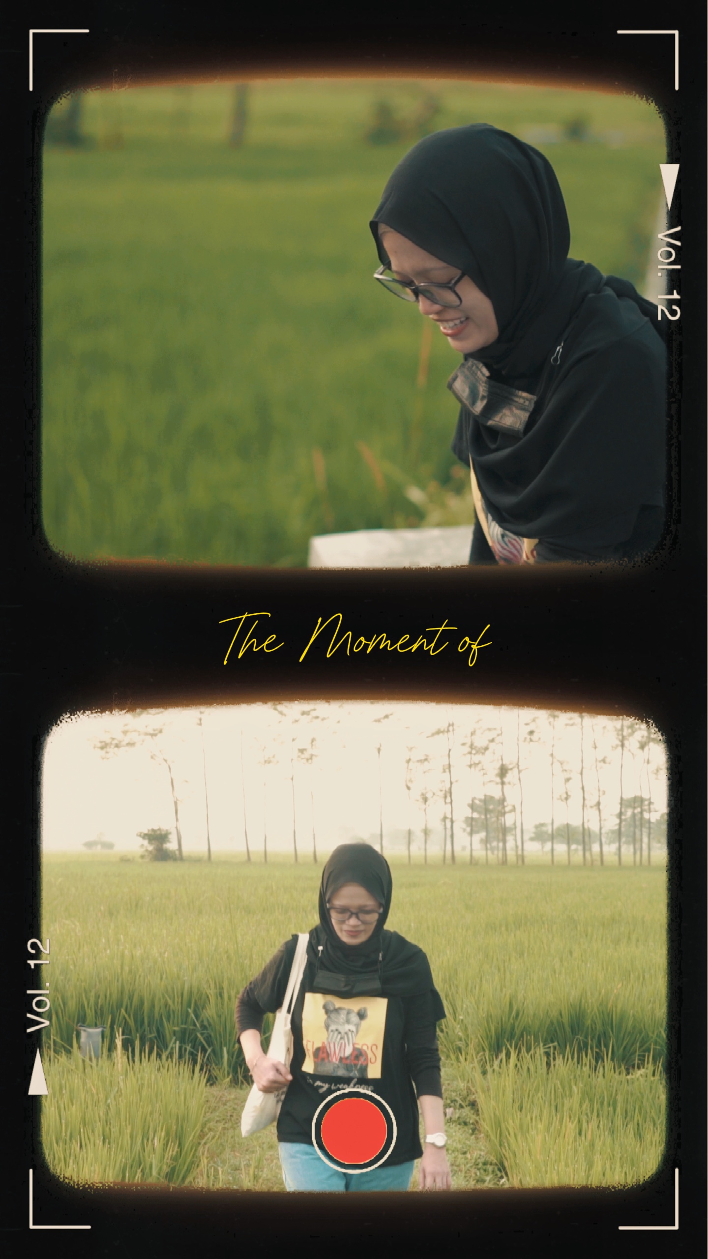 Film Roll Cinematic