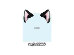 reviewing cat food 🤗