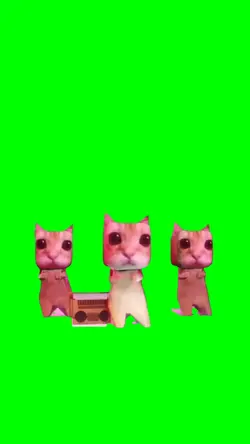 Dancing Kittens Meme