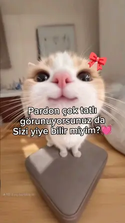 Çok tatlisin