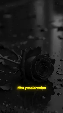 YENİ AKIM / TALADRO 