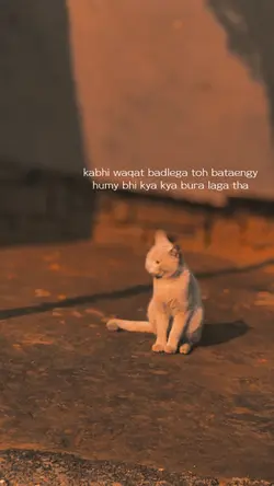 Bataengy🫠🤌🏻