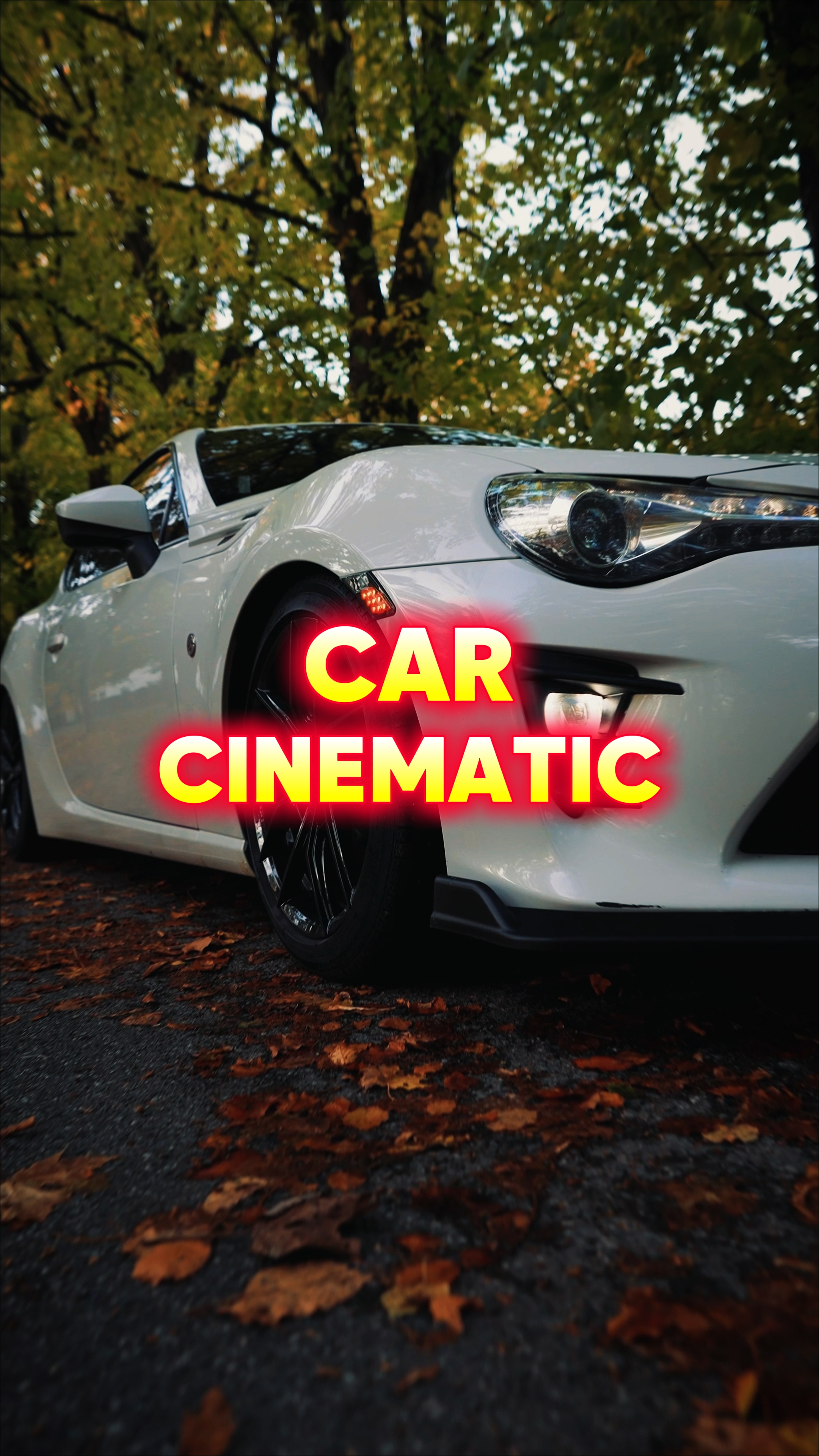 Car Cinematic 