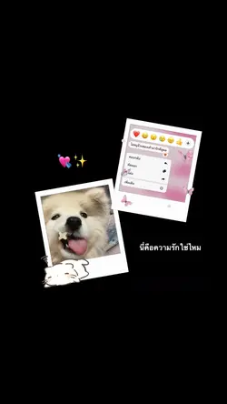 นี่คือความรักกก