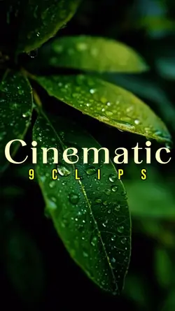 9 CLIPS CINEMATIC