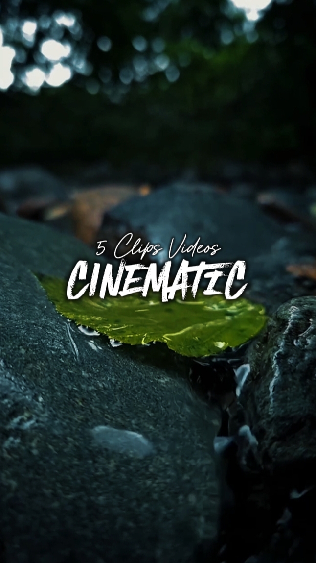 5 Clips Vidéos