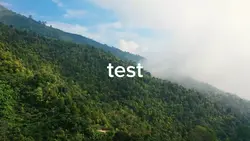 test