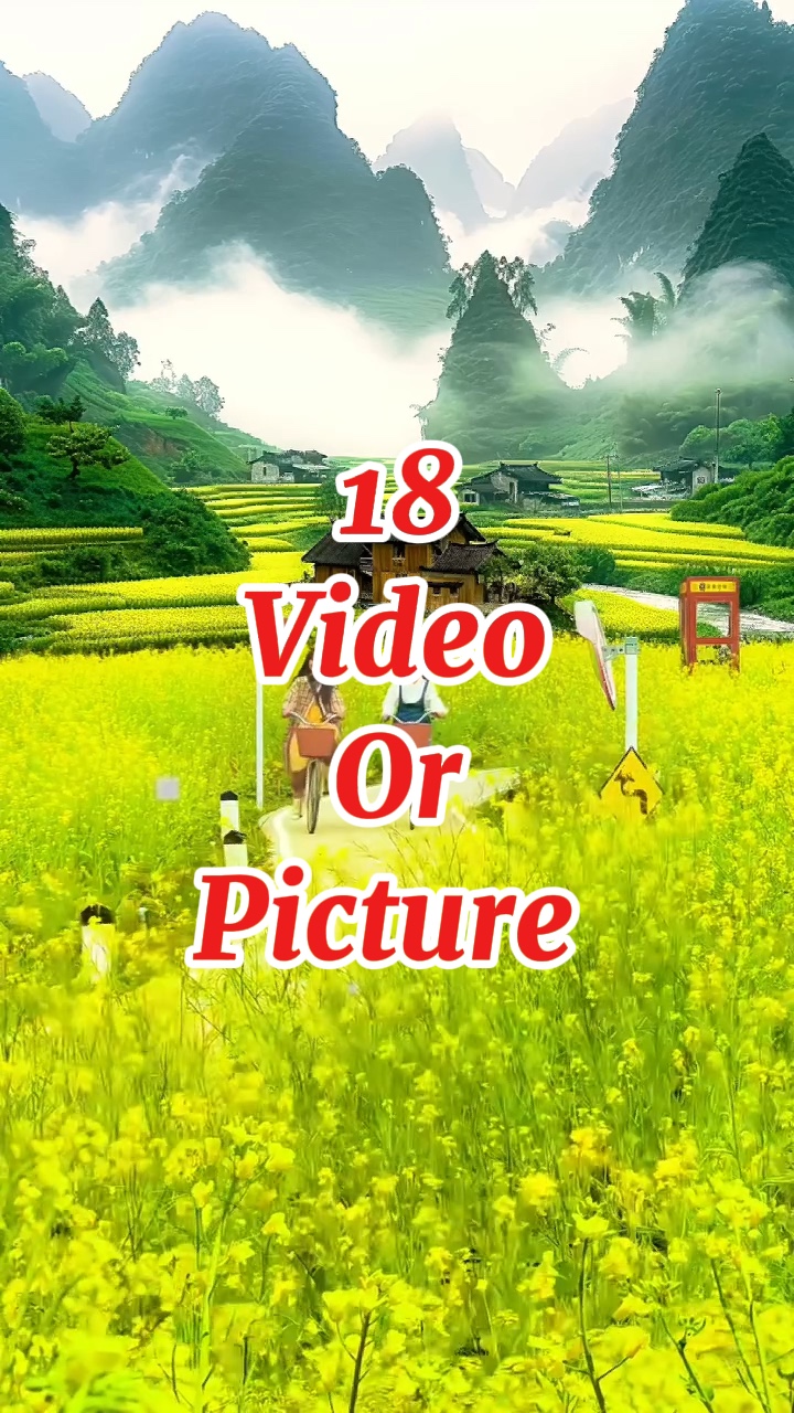 #新#模板#歌曲