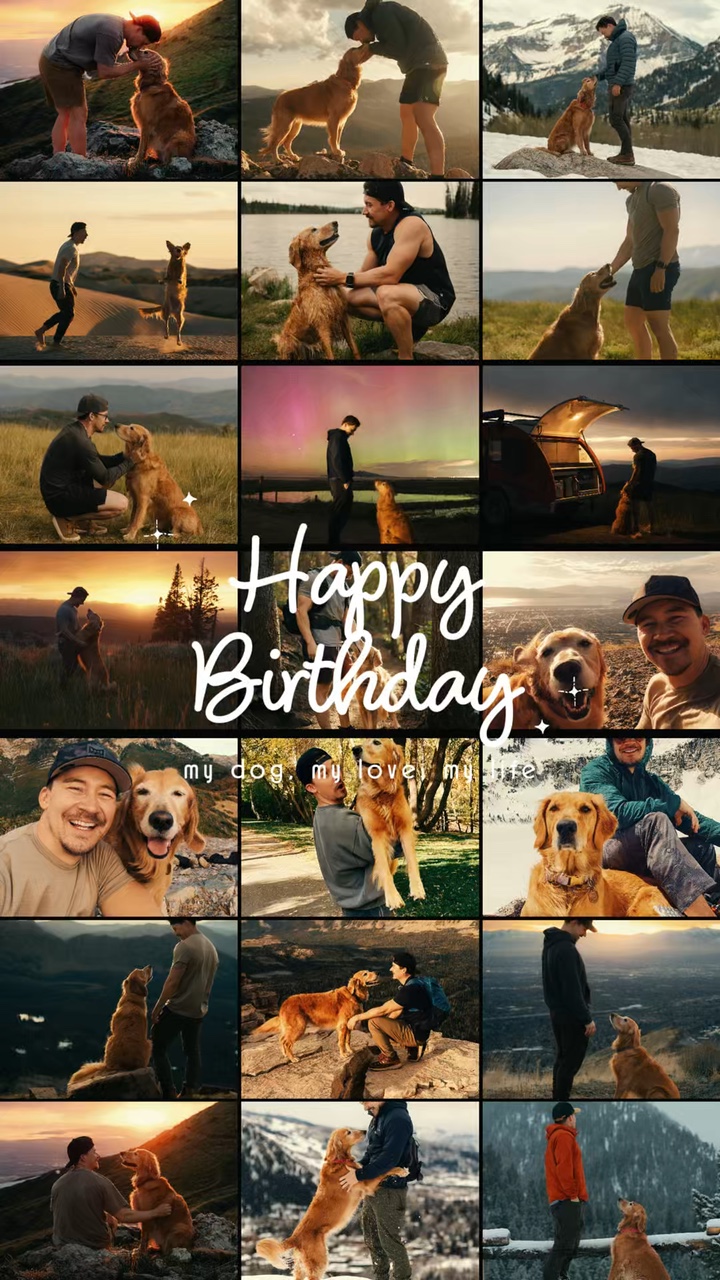 Geburtstag mein Hund