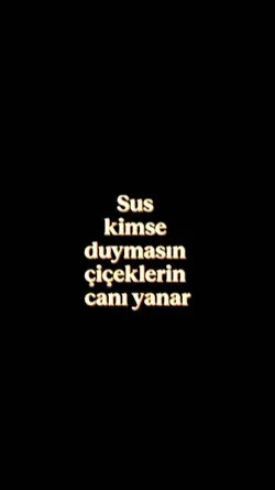 yeni şablon 