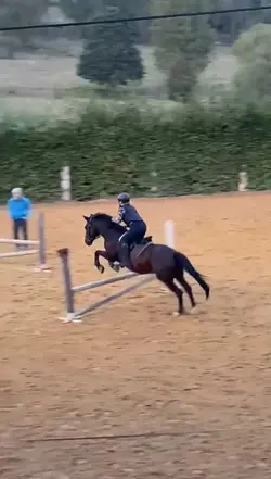 his eyes were like..