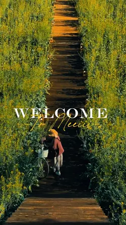 Welcome Meiii