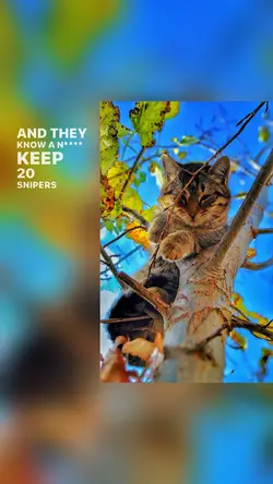 Sniper Sniper Sniper