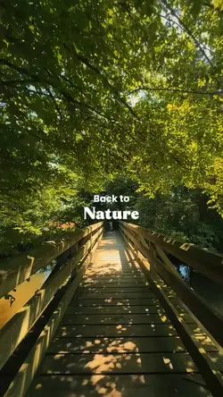 Camping Therapy