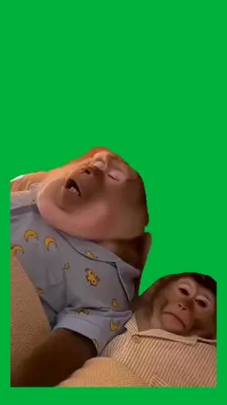 Couples