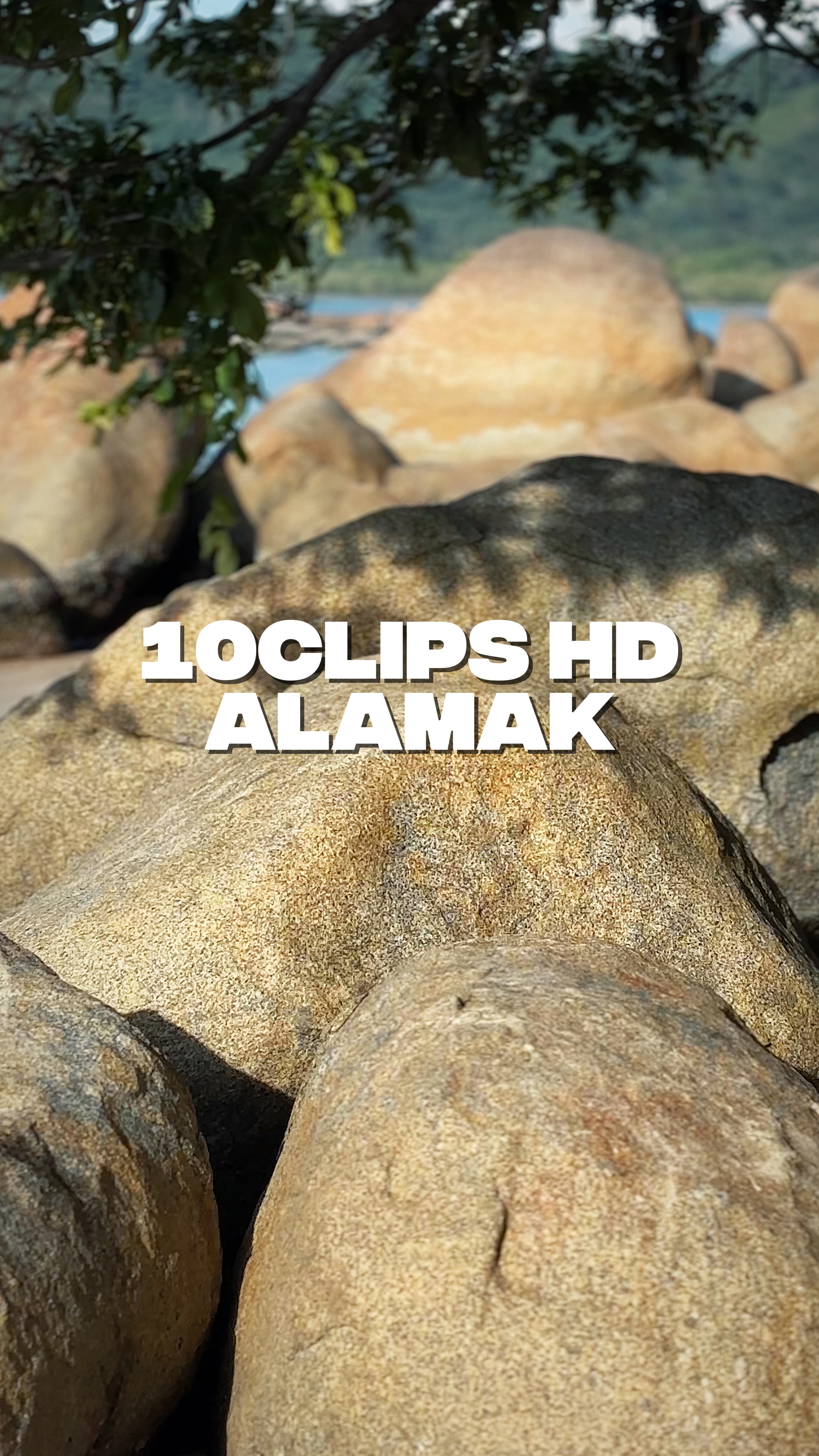 10C Kamu | Alamak