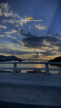 Nếu cả đời này không