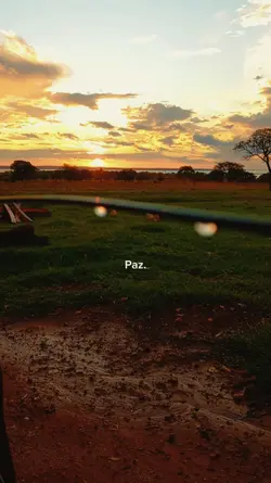 natureza e paz 
