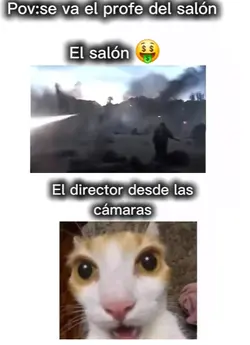 Esque es la verdad