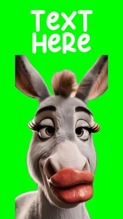 Drama Donkey