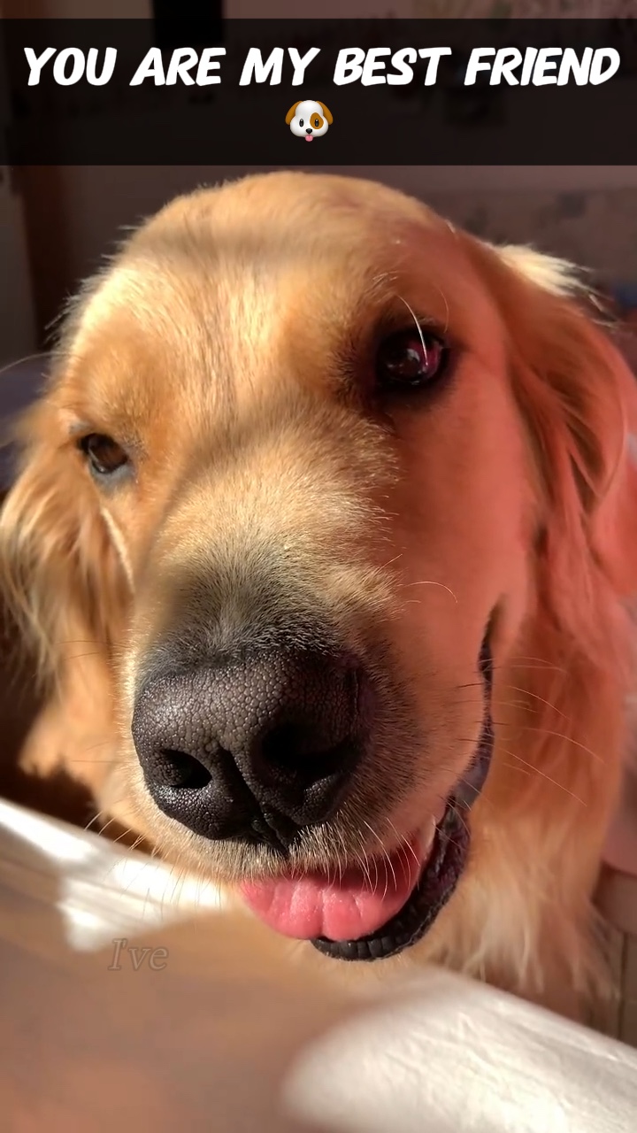 가장 친한 친구 🐶
