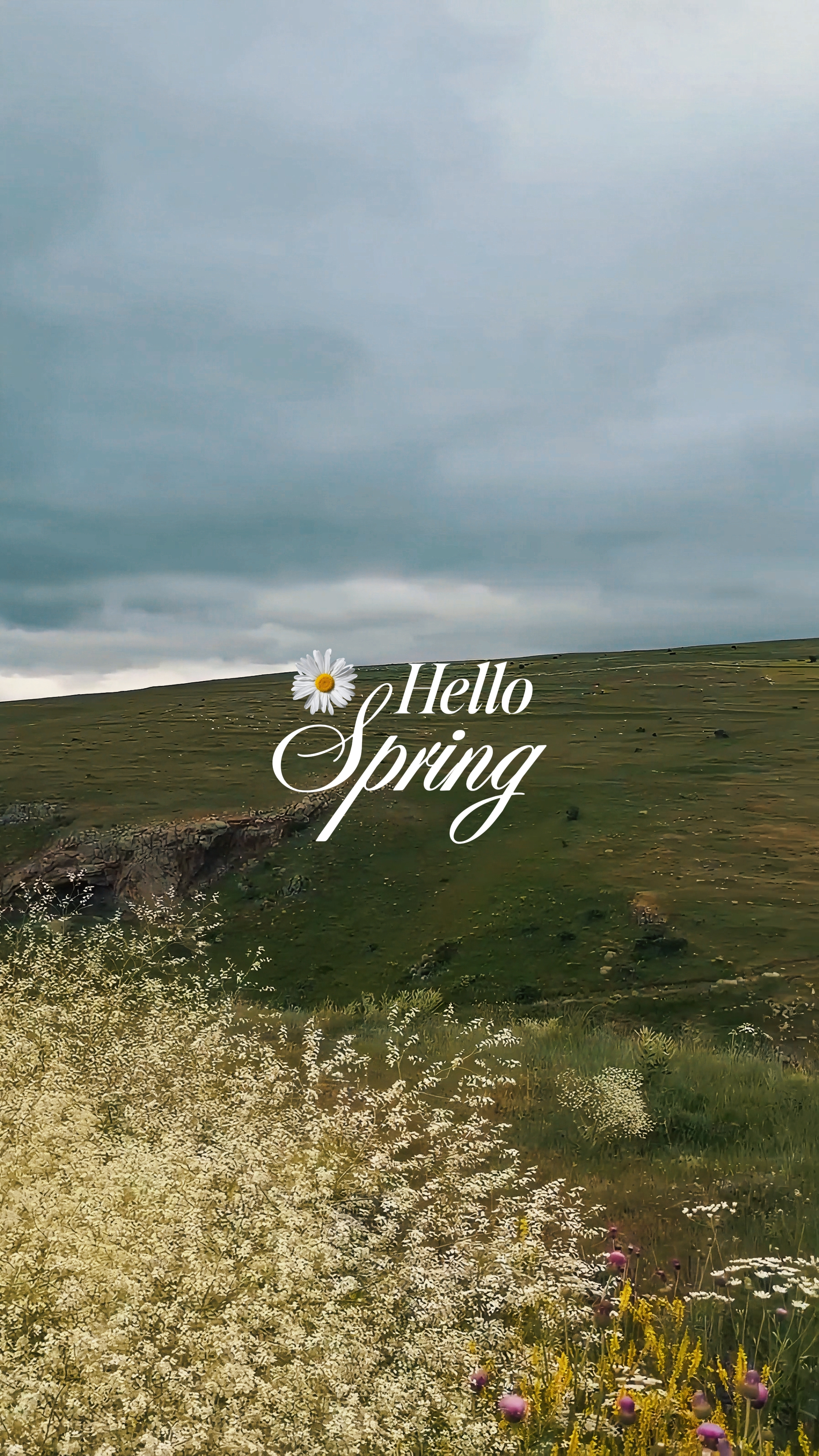 Hello Spring