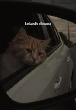 Seharusnya aku 