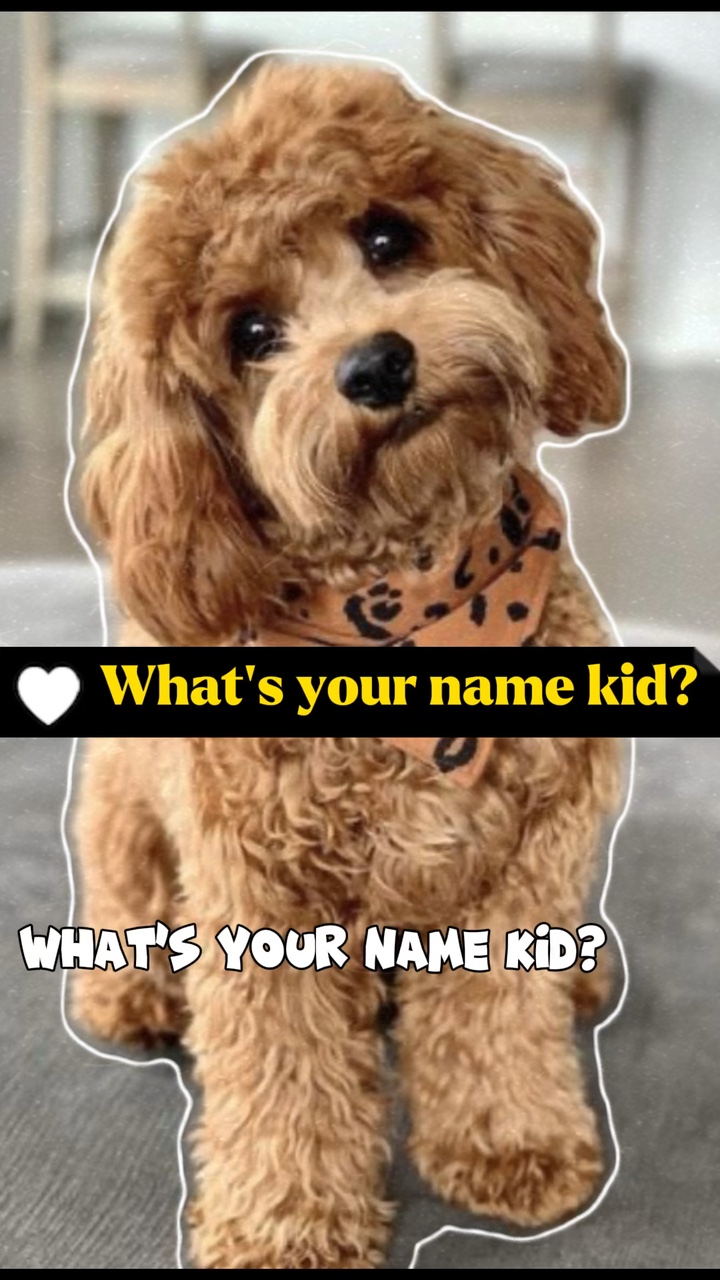Wie ist dein Name, Junge?