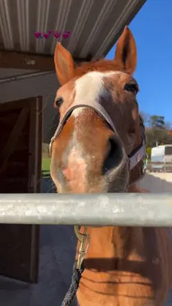 Slowmo