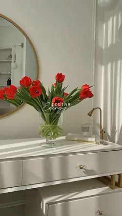 mini vlog