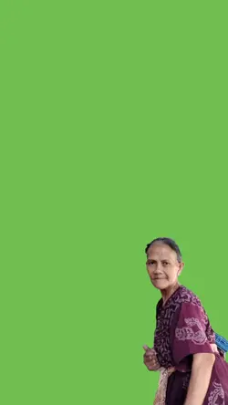 memes green screen