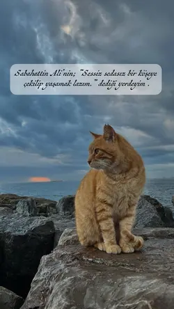 “Sabahattin Ali”