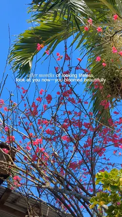 summer bloom