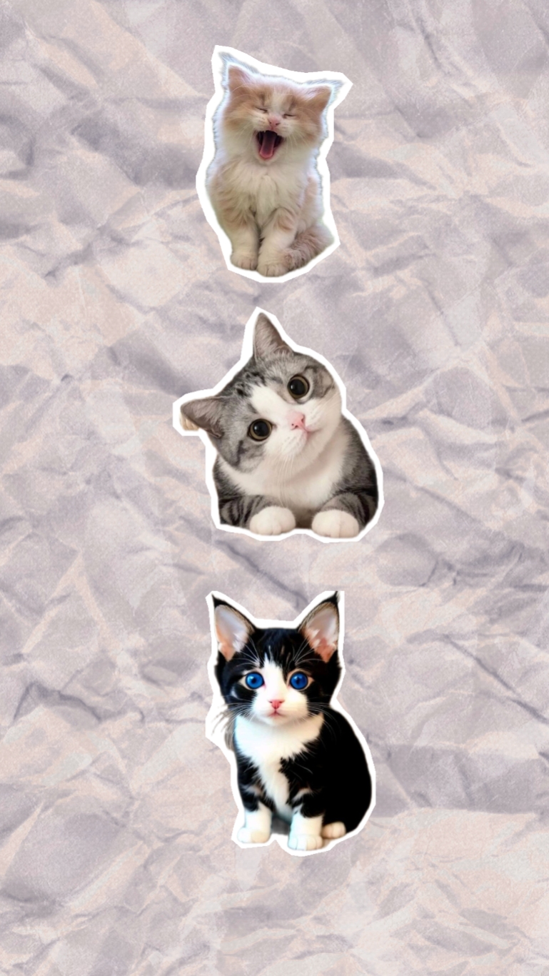 Plantilla de gato 