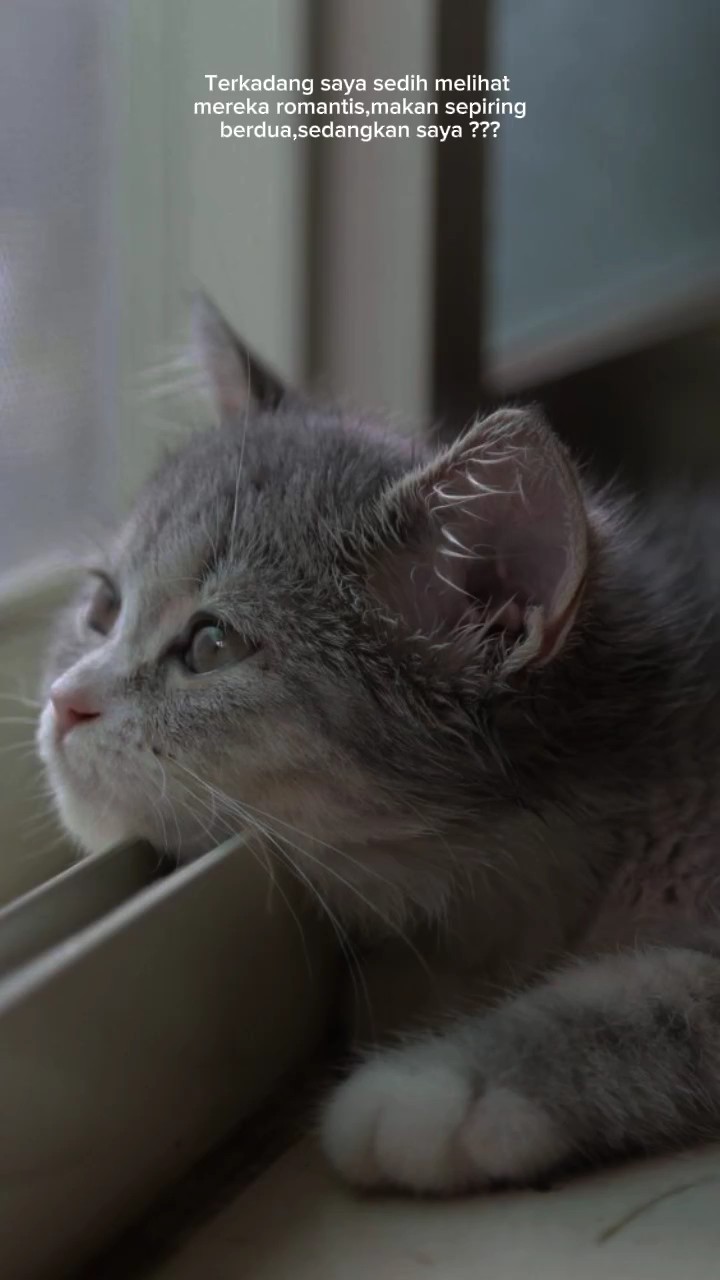 org" mah suka gitu