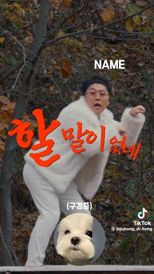 할 말이 없네