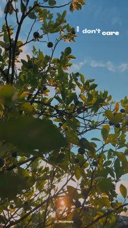 here with me | slowm