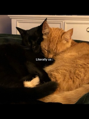 US-Kern: 3