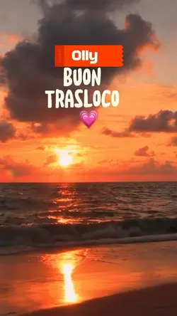 Olly trasloco amore 