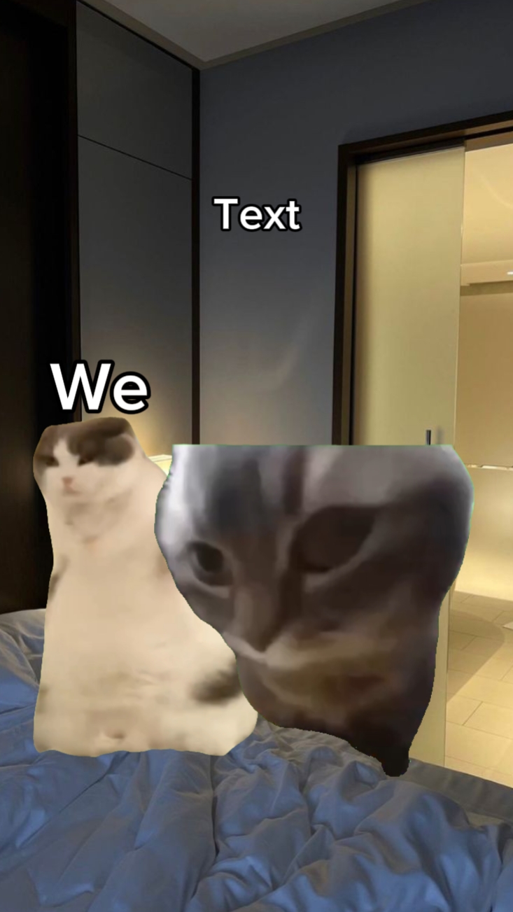 Dancing cat 2 cat 